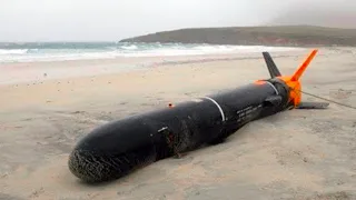 20 Strangest Things Washed Up on Beaches