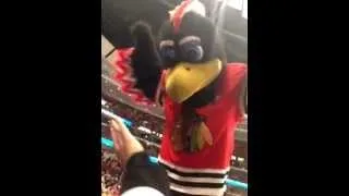 Tommy Hawk - live action video!