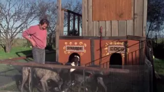 The Castle (1997) - Greyhound Scene
