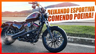 HARLEY DAVIDSON 883 IRON PREPARADA