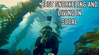 Best Snorkeling/Diving Spots in Southern California