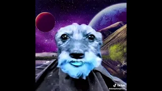 Interview with space Dawgalawg #fyp #meme #shlawg #dawg #funny #skibiditoilet #edging #edge