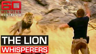 The controversial conservation experiment to live with man-eating lions | 60 Minutes Australia