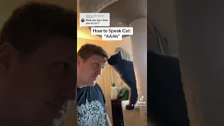 How to Speak Cat: Lesson 5