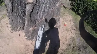 (RAW)#9 That one oak tree over power lines, we had them de-energized. Rigging explained/walk through