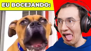 MEMES QUE O MANJERICÃO GOSTA DE VER KKKKKK | Dearo e Manu