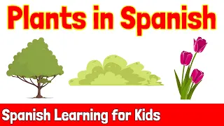 Plants in Spanish | Spanish Learning for Kids