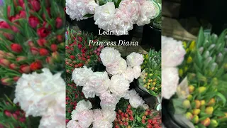 Ledri Vula ft. Lyrical Son - Princess Diana | Slowed