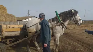 А ПРОСТО ТАК! С ПАСХОЙ ВАС, МОИ ЛЮБИМЫЕ ДРУЗЬЯ!!!😘😘😘