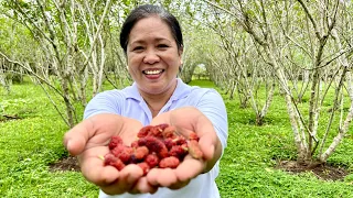 From Nanay Nurse to Farmer: Transformed her Hobby into a Farming Business