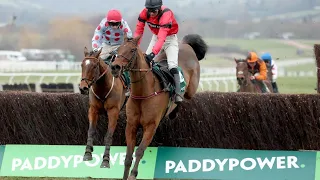 Gold Cup contender? AHOY SENOR triumphs in Cotswold Chase