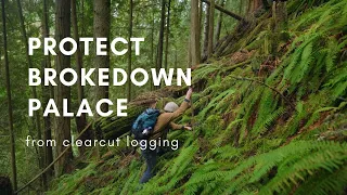 Brokedown Palace: A Whatcom forest worth preserving