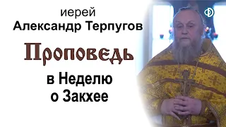 Проповедь в Неделю о Закхее (2021.02.14). Иерей Александр Терпугов