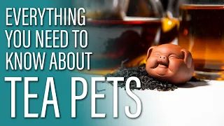 How to Use Tea Pets