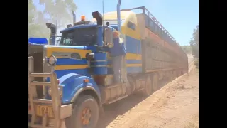 KENWORTH CATTLE ROAD TRAIN OUTBACK AUSTRALIA