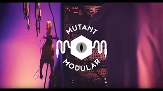 Mutant Modular MM004 - Pheek