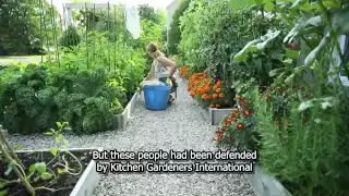 Drummondville's front yard vegetable garden