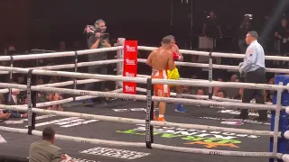 Rolando Romero vs. Ismael Barroso 9th round KO! Live!!