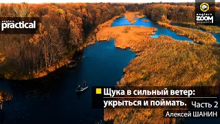 Щука в сильный ветер: укрыться и поймать. Алексей Шанин. Часть 2. Anglers Practical