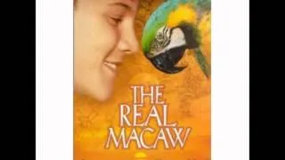 Bill Conti/Rod Davies - Treasure in You - The Real Macaw (1998) - OST