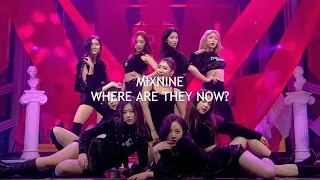 MIXNINE - Where Are They Now?