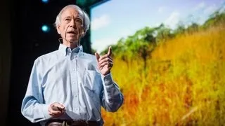 Аллан Савори: Как озеленить пустыню и повернуть вспять изменение климата