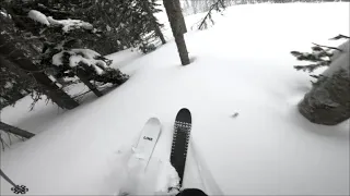 Line Sakana Skis In Powder