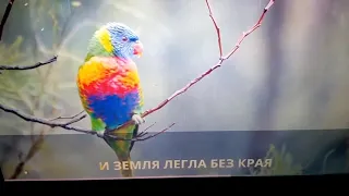 Иванушки International - Колечко (karaoke)