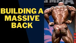 Building A Massive Back