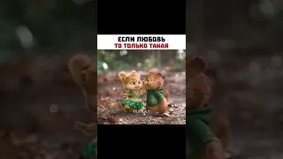 ЕСЛИ ЛЮБОВЬ ТО ТОЛЬКО ТАКАЯ