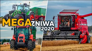 ㋡ Żniwa 2020 ㋡  | Fendt  724 Vario Profi Plus || Jęczmień Ozimy |