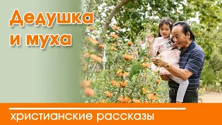 💛 Дедушка и муха - ИНТЕРЕСНЫЙ ХРИСТИАНСКИЙ РАССКАЗ | Христианские рассказы