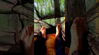 Hammock and Forest with Forest Bath and Coffee in the morning Shinrin yoku