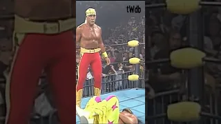 Hogan BETRAYS WCW | Bash at the Beach 1996