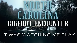 BIGFOOT ENCOUNTERS IN NORTH CAROLINA||THE SASQUATCH WAS WATCHING ME PLAY AT THE SCHOOL PLAYGROUND!!!