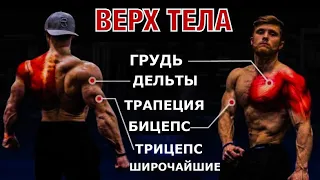 Самая ЭФФЕКТИВНАЯ тренировочная программа "Верх-Низ".(тренировка ВЕРХА ТЕЛА)| Джефф Ниппард