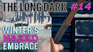 The Long Dark: Winter's Naked Embrace (#14)