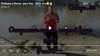 Рыбалка в Омске  река Омь  2023. Язь😁👍