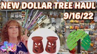 NEW DOLLAR TREE HAUL 🤑 9/16/22 MORE GREAT FINDS