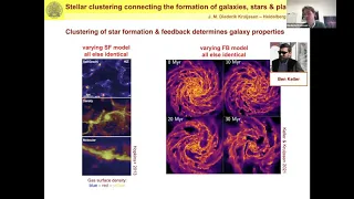 Stellar clustering connecting the formation and evolution of galaxies... - Diederik Kruijssen