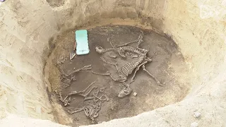 STV: Zaskakujące odkrycie archeologiczne w Wilczycach