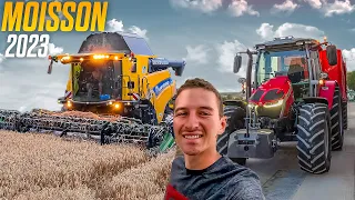 MOISSON DE BLÉ 2023 ! 🌾 Pas terrible…