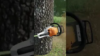 Tree Felling🚜 Farming Simulator 22 #Shorts