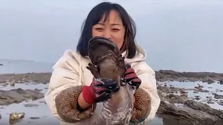 Xiaozhang Picked Up A Ferocious Four-Legged SEA MONSTER（Catch the sea）