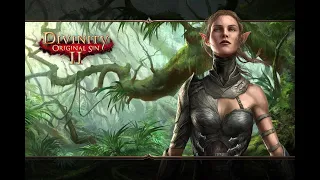 Divinity 2 with friends [Part1]