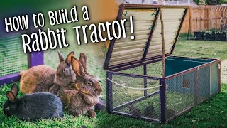 Rabbit Tractors - How to build one! + Coccidiosis & RHDV2