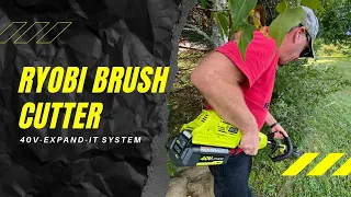 Ryobi Brush Cutter | Expand It System