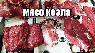 сколько мяса с козла