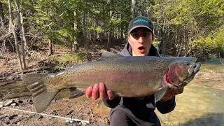 I Caught my Biggest ever Rainbow Trout