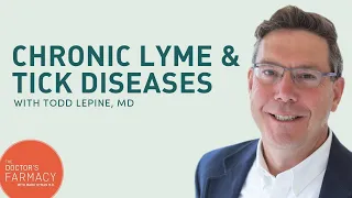 How To Recover From Chronic Lyme And Tick Diseases